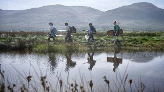 Ocean | Carbono azul, ¿una solución contra el cambio climático?