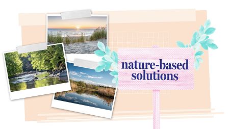 Natural solution: why nature is our best water manager to tackle climate change