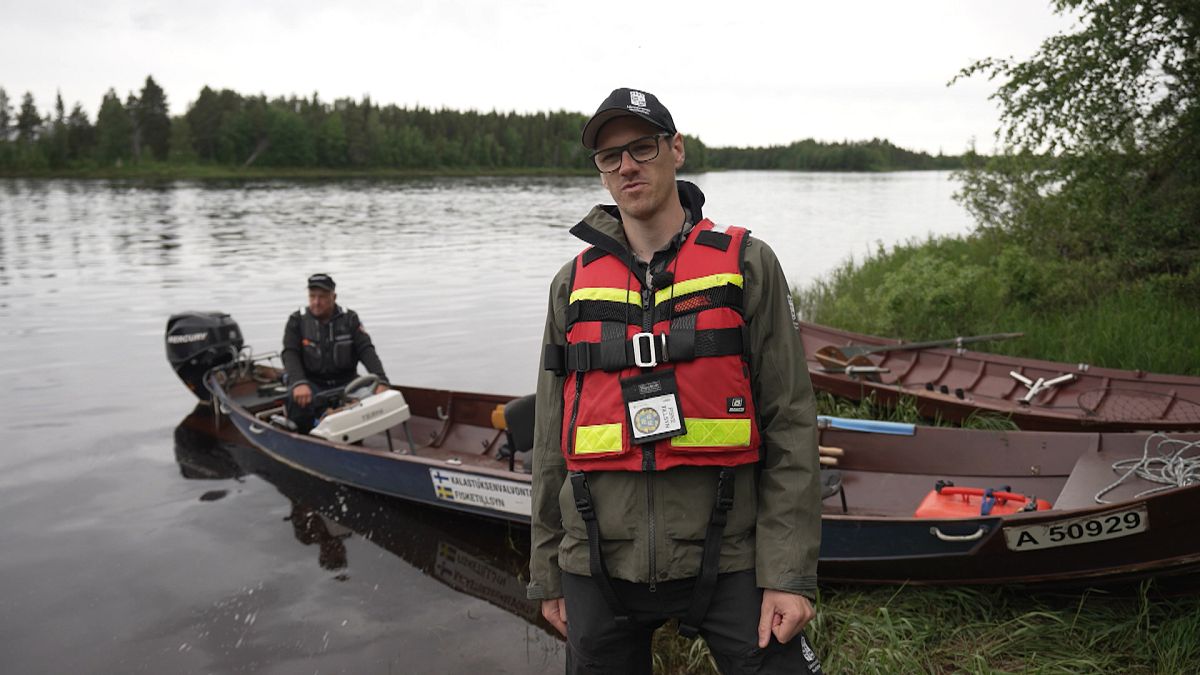 Finlandia y Suecia se unen para luchar contra la pesca ilegal del salmón 