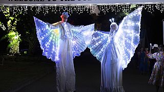 Afrique du Sud : le Festival des lumières enchante le zoo de Johannesburg