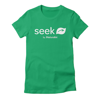 Seek fitted shirt