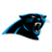 Panthers