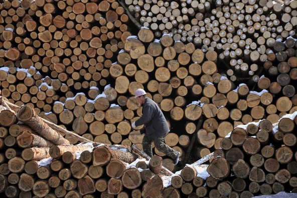 A timber-processing site in Shenyang, in the northeastern Chinese province of Liaoning.