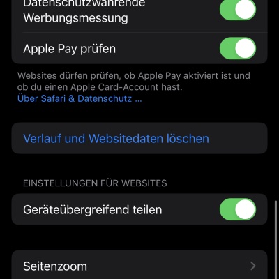 Viren auf iPhone: Browser-Verlauf löschen 2