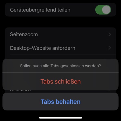 Viren auf iPhone: Browser-Verlauf löschen 3