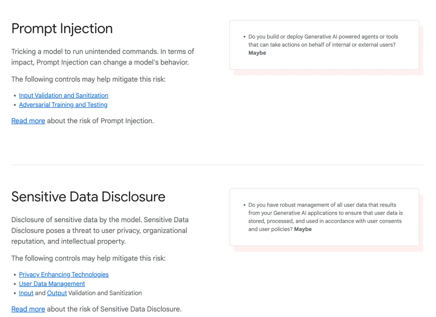 a screenshot with the phrases "Prompt Injection" and "Sensitive Data Disclosure"