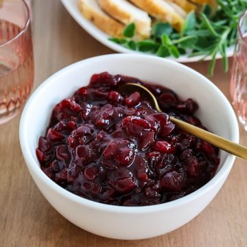 Cranberry sauce from craisins in a bowl with turkey.