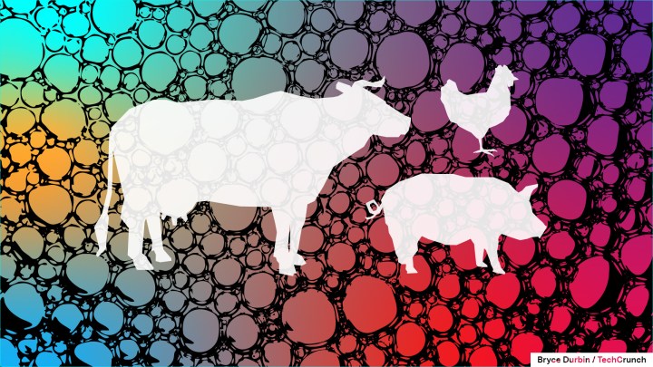 Even after $1.6B in VC money, the lab-grown meat industry is facing ‘massive’ issues