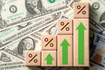 Do adjustments in public debt management mean an increase in borrowing?