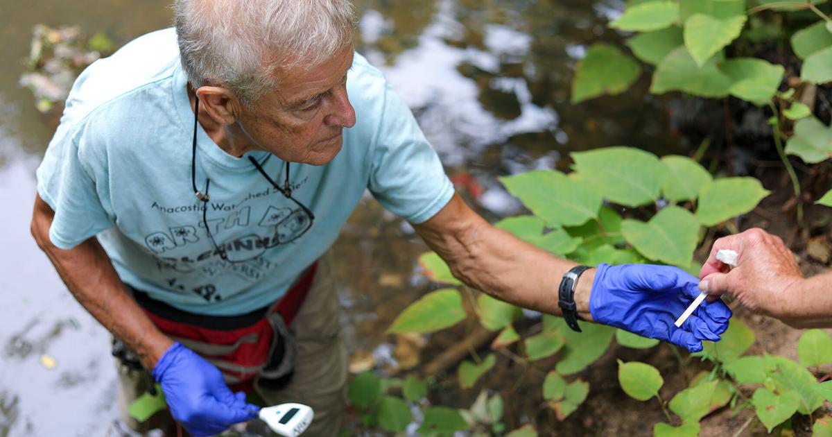 To Heal the Anacostia, Citizen Scientists Wade Into Troubled Waters