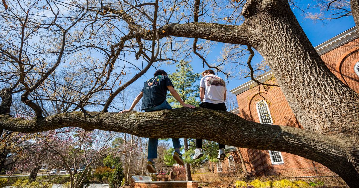 Mental Health and Well-being @ UMD  We are committed to fostering a culture of care so that every member of our community feels valued, empowered and supported.