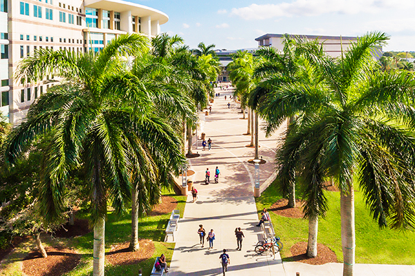 Landscape photo of lake with shark fin statue and NSU campus in the background