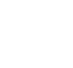 Certificate icon