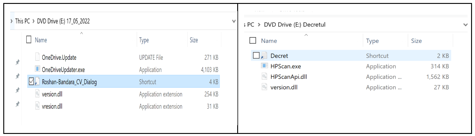 When "show hidden files" is enabled, both Roshan and Decret reveal dlls and exes.