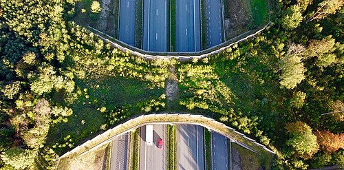 Kolu ökodukt Tartu maanteel 2021. aasta septembris