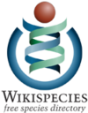 Logo Wikispecies