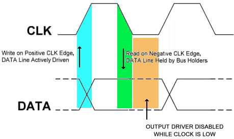 Cell Structure