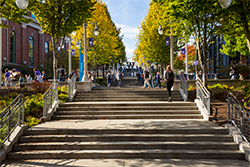 Photograph of the center of the UW Tacoma campus.