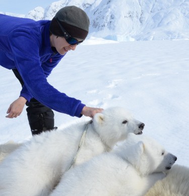 Kristin Laidre is seen with two polar bear cubs.