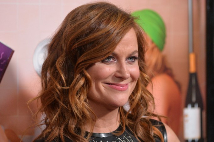 Amy Poehler