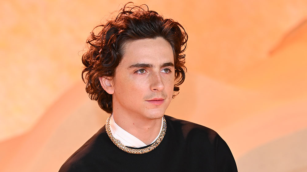 LONDON, ENGLAND - FEBRUARY 15: Timothée Chalamet attends the World Premiere of "Dune: Part Two" in Leicester Square on February 15, 2024 in London, England. (Photo by Joe Maher/Getty Images)