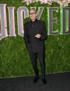 Jeff Goldblum at the “Wicked” New York Screening hosted by Anna Wintour at the Museum of Modern Art on November 14, 2024 in New York, New York.