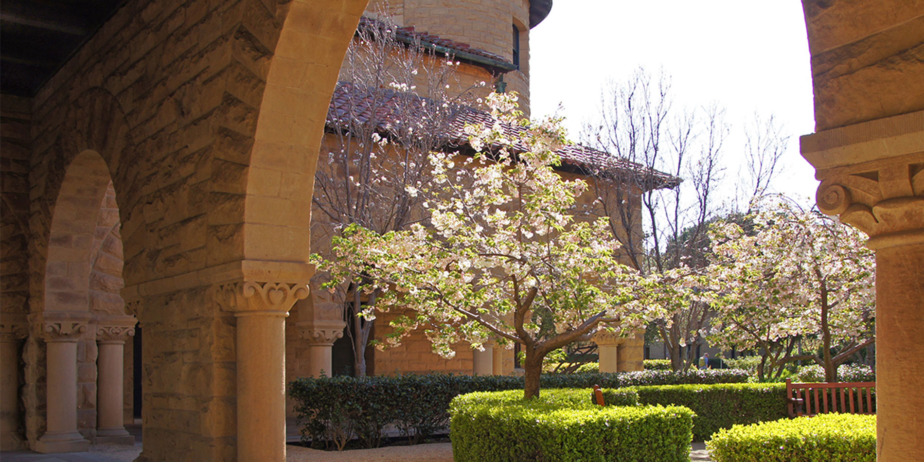 Oregon courtyard view from arcade with flowering tree and hedges