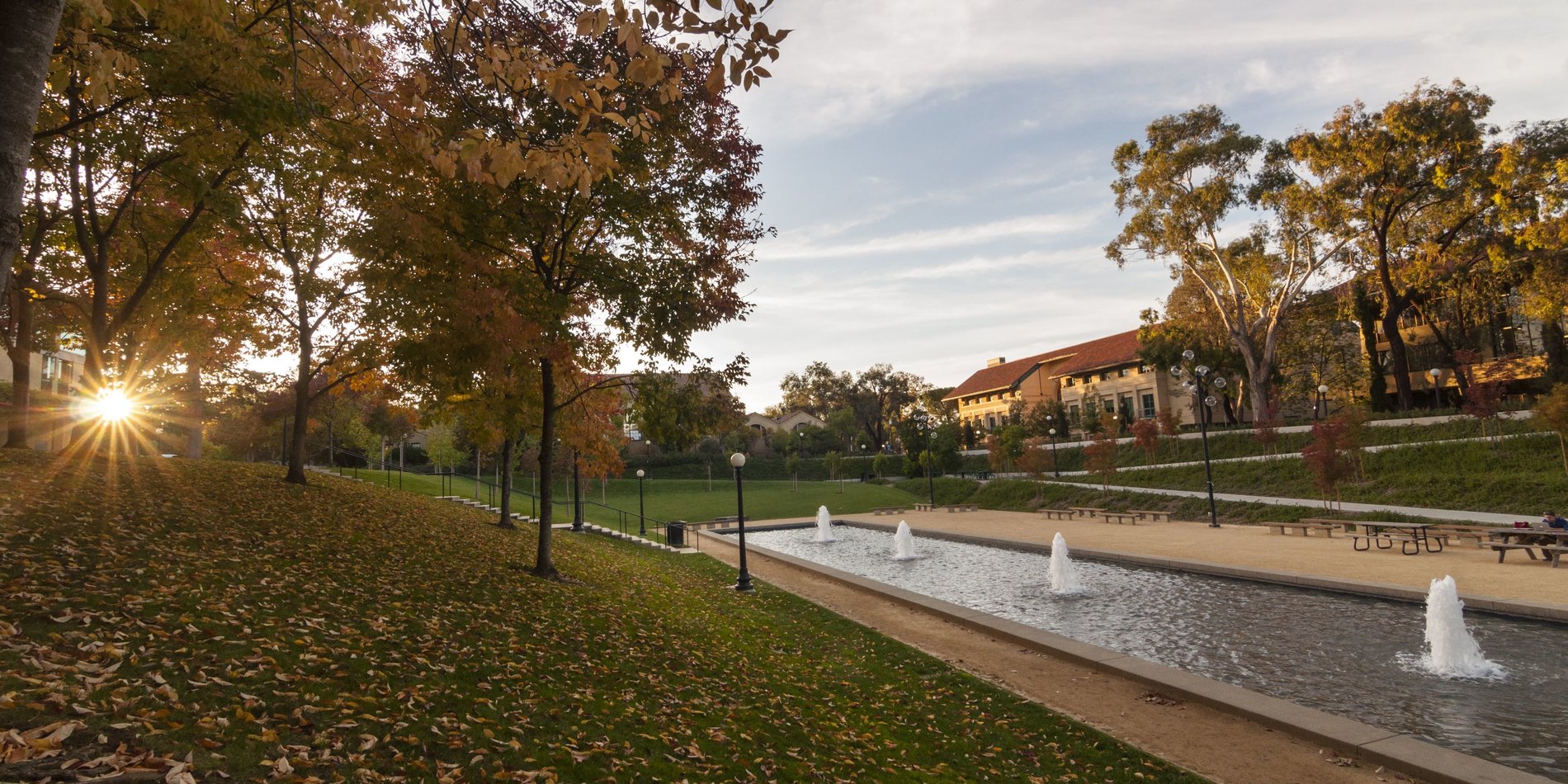 Autumn hued trees near Terman Fountain