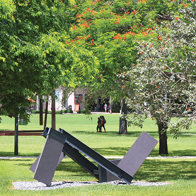 The University of Miami campus in summer.