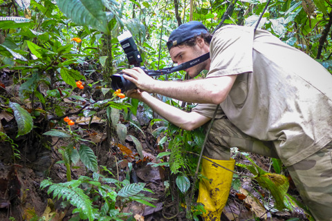 Riley Fortier photographs the rediscovered G. extinctus.