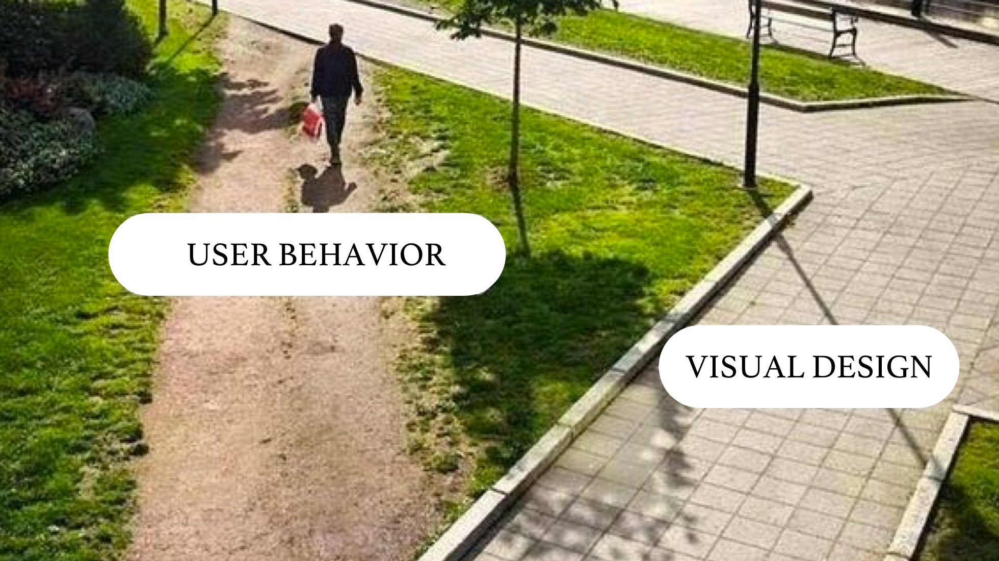 visual design vs user behavior