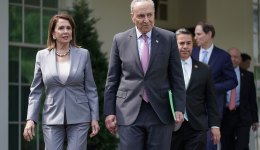 Nancy Pelosi, Charles Schumer