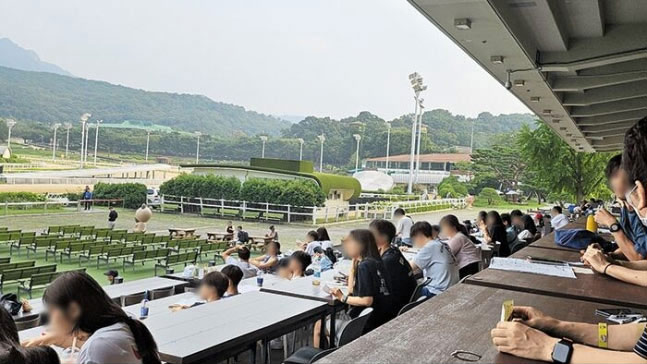 5年で来場者2倍超、競馬にハマる韓国20ー30代…一部で依存症・借金まみれ