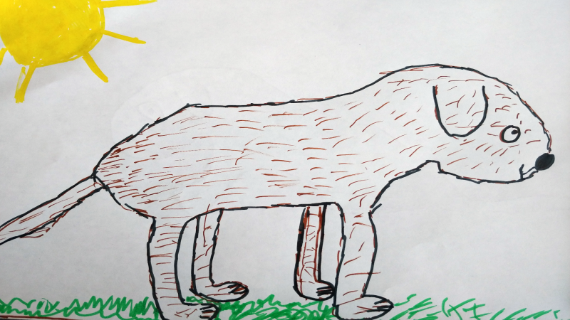 Adamo, 10 years old, St. Bernard Catholic School, Ottawa
