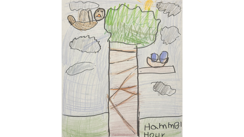 Holly Hammel, 6 years old, Grade 1, Meadowlands public school
