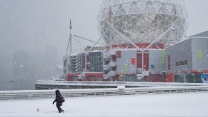 A person looks out to a semi-frozen False Creek during a snowstorm in Vancouver on Wednesday, Jan. 17, 2024. THE CANADIAN PRESS/Ethan Cairns