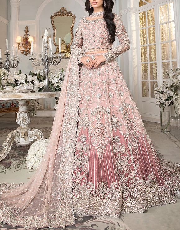 Luxurios 3D Handwork Heavy Embroidered Net Bridal Maxi Dress 2024 (DZ16604)