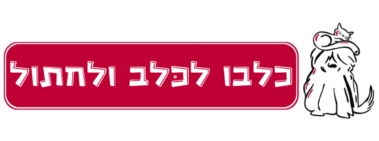 כלבו לכלב ולחתול