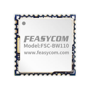 FSC-BW110 RTL8723DS 2.4GHz Wi-Fi 4 + Dual-Mode BT 4.2 Module