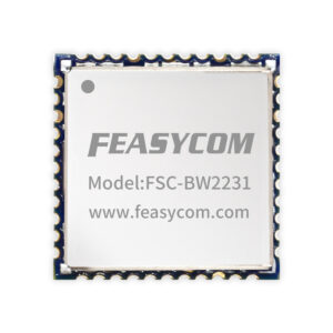 FSC-BW2231 RTL8733BS Small-Size Wi-Fi 4 + BT 5.2 Module