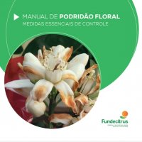 Podridão floral