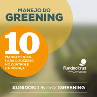 Manejo do Greening