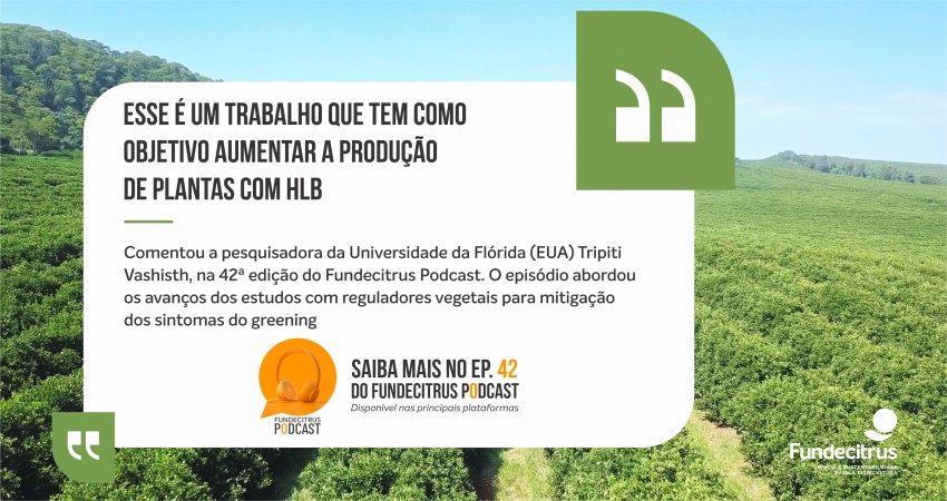 Fundecitrus Podcast aborda avanços dos estudos com reguladores vegetais para mitigação dos sintomas do greening