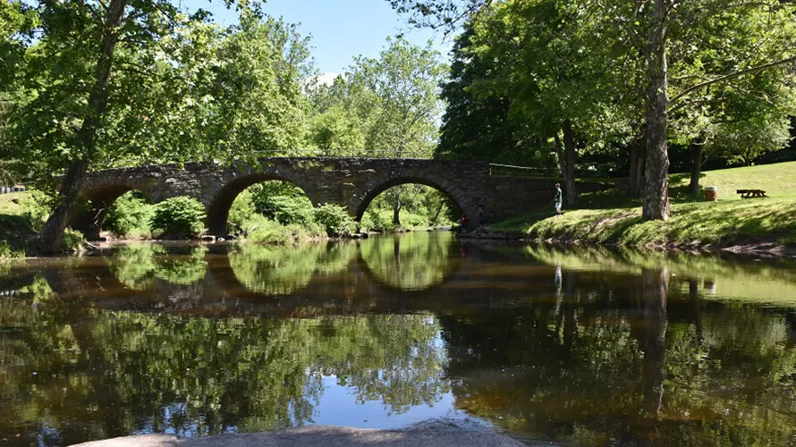 Scenic view of a bridge over a tranquil lake surrounded by lush green trees.