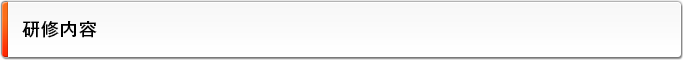 研修内容