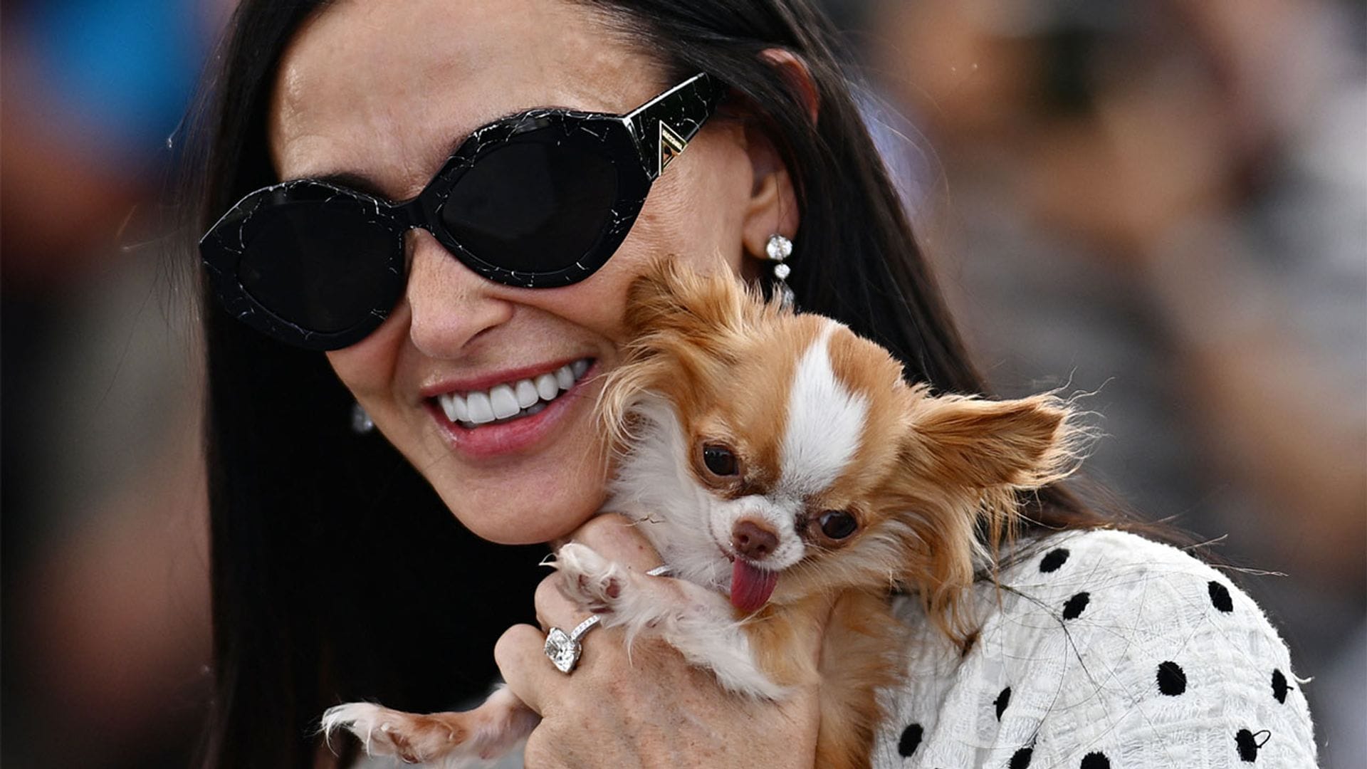 El chihuahua de Demi Moore se convierte en la 'verdadera estrella' del Festival de Cannes