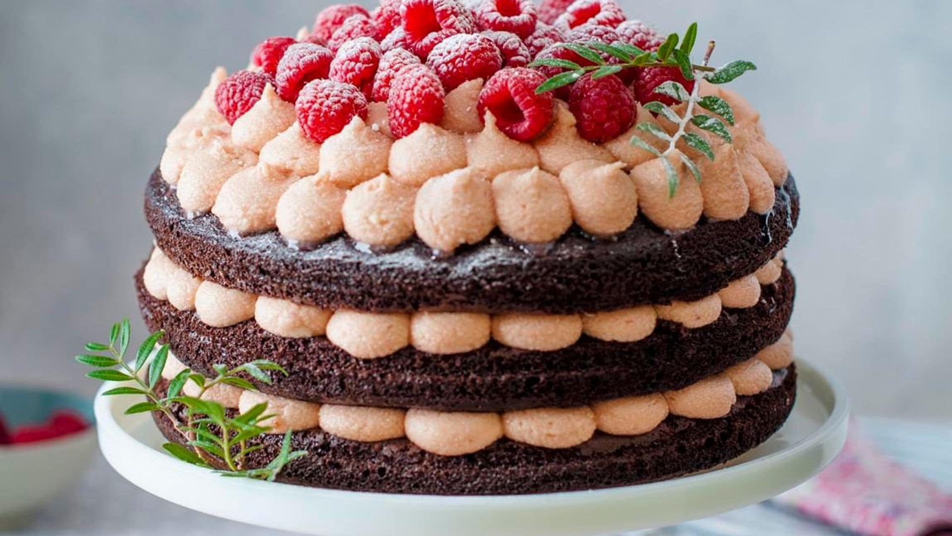 Bite into these decadent chocolate cake recipes for National Chocolate Cake Day