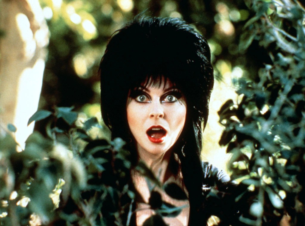 Cassandra Peterson as Elvira