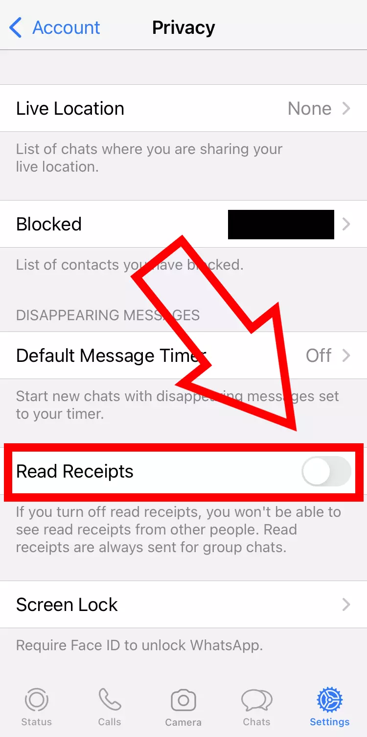 Screenshot da un iPhone dalla sezione Privacy di WhatsApp con l’opzione Conferme di lettura disattivata