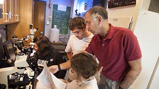 a professor overlooking students in a lab